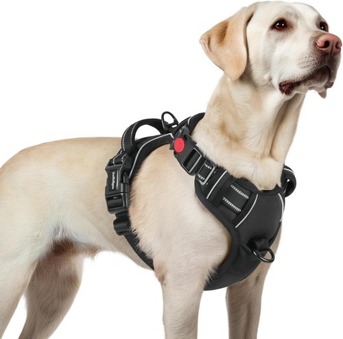 Hundegeschirr schwarz - hundegeschirr, l