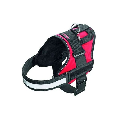 Karlie xtreme limit - karlie,