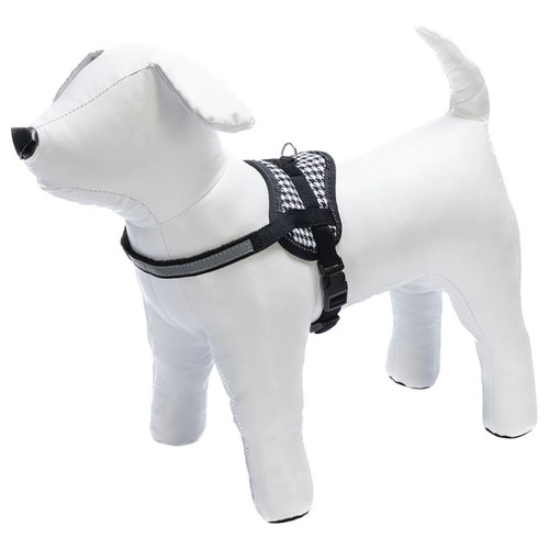 Karlie teeny weeny hunde - karlie,
