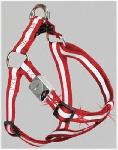 Hundegeschirr led blinkendend - led,