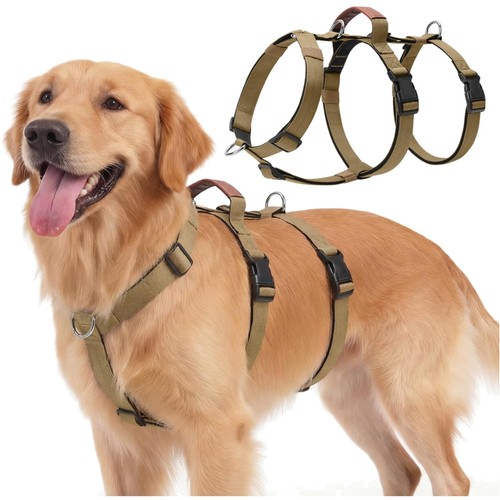 Hundegeschirr ausbruchsicher - hundegeschirr,