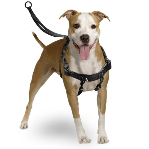 Easy walker geschirr - walker,