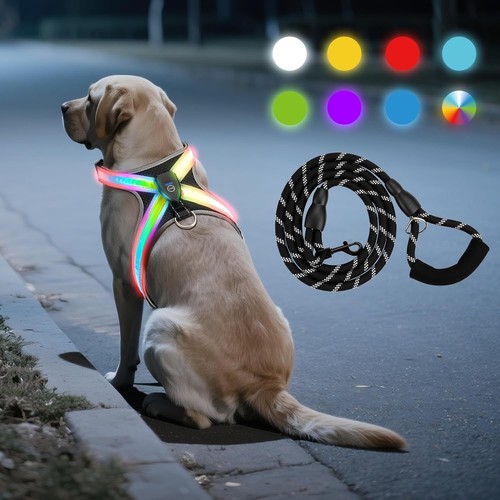 Led hundegeschirr set - hundegeschirr,