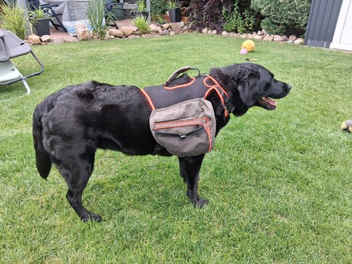 Hunderucksack hundegeschirr - hunderucksack,