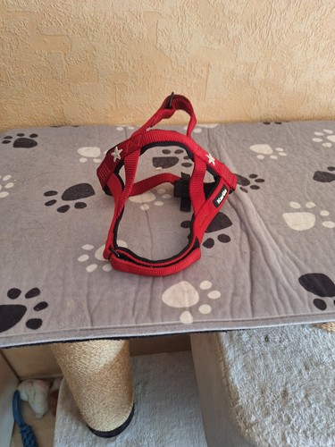 Hundegeschirr sportiv premium - hundegeschirr,