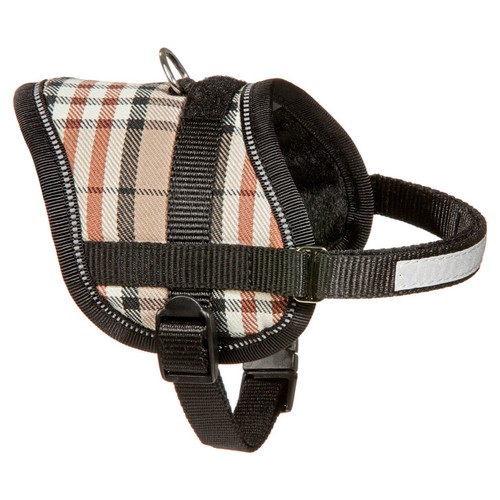 Karlie teeny weeny hunde - karlie,