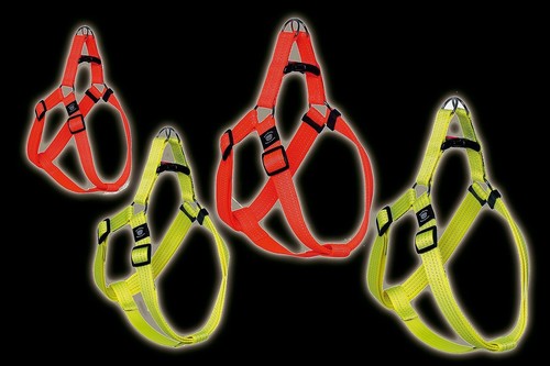 Art sportiv plus reflex - reflex, step