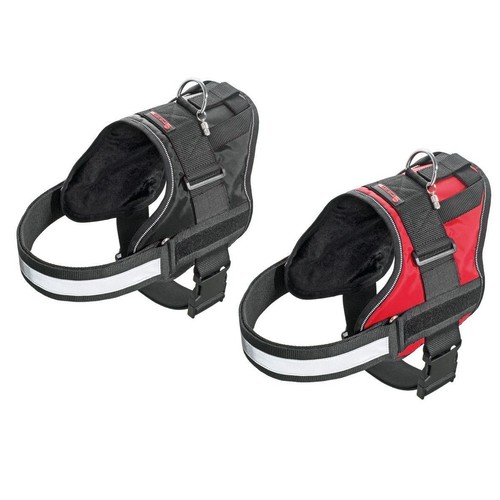 Xtreme limit geschirr - xtreme, no