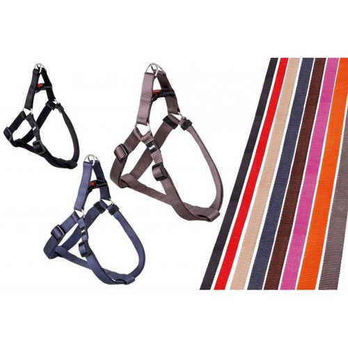 Karlie art sportiv - sportiv, step
