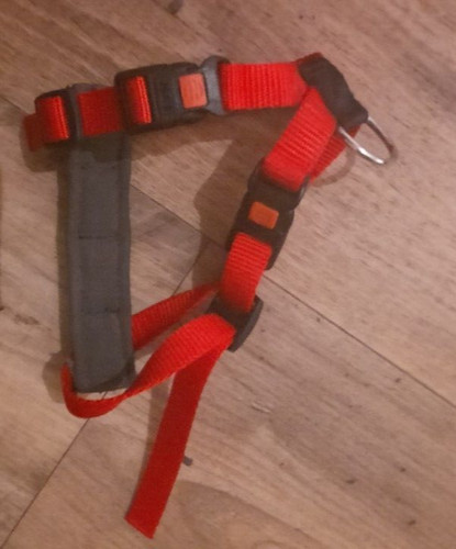 Karlie hundegeschirr rot - hundegeschirr, f